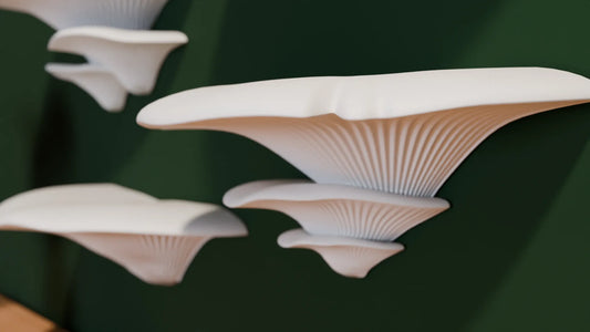 🍄 Étagères “Champignons” – Installation Facile